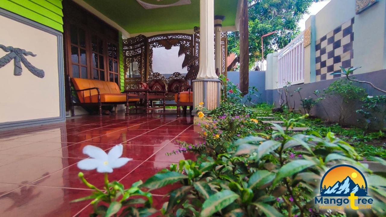 Mango Tree Homestay & Ijen Tour Banyuwangi  Exterior photo