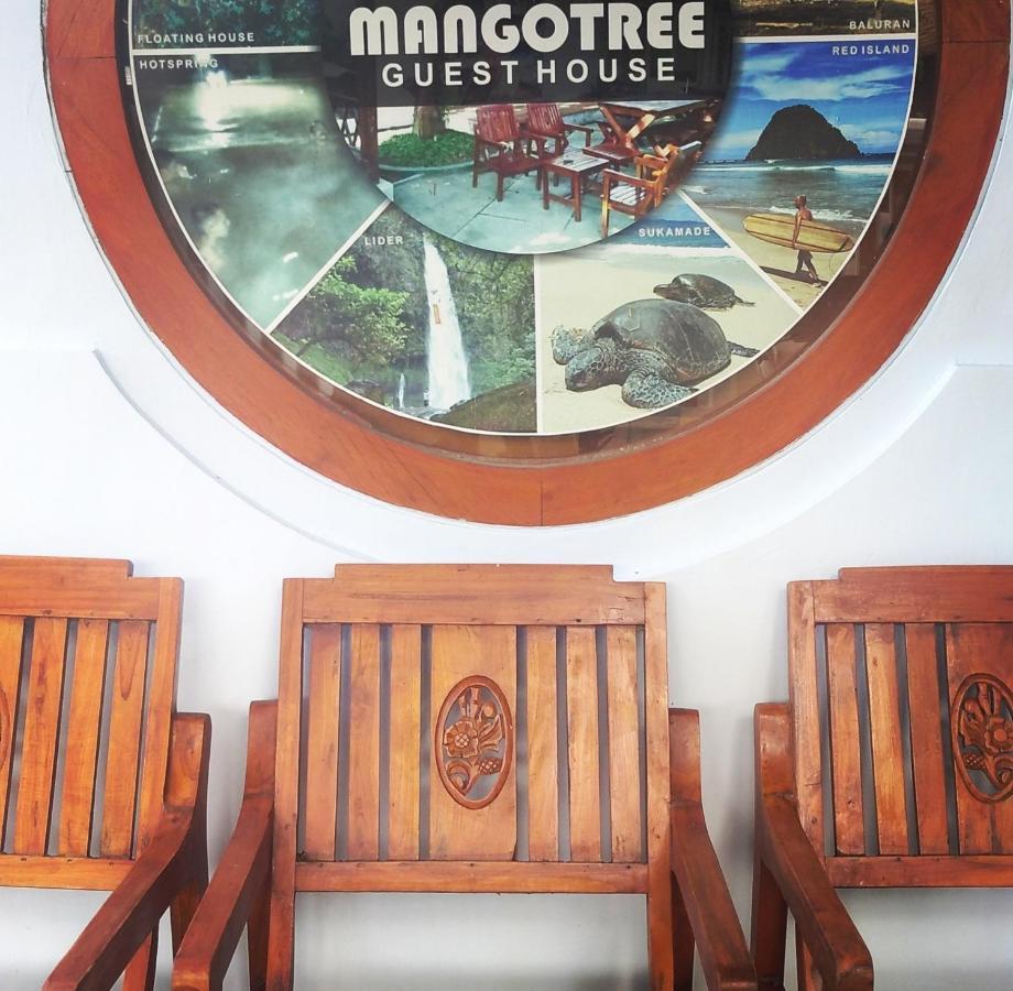 Mango Tree Homestay & Ijen Tour Banyuwangi  Exterior photo